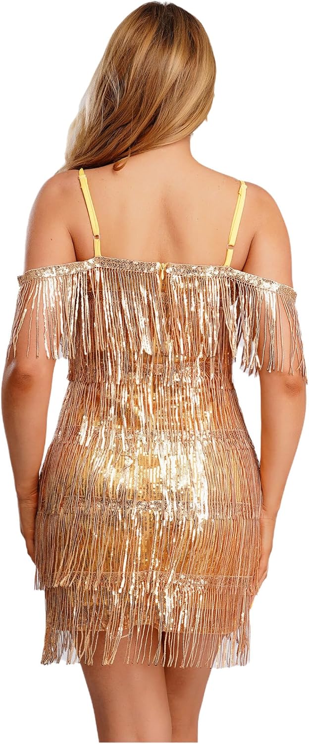 Women's Sparkly Sequin Latin Dance Dress Fringe Ballroom Salsa Tango Jazz Dress
