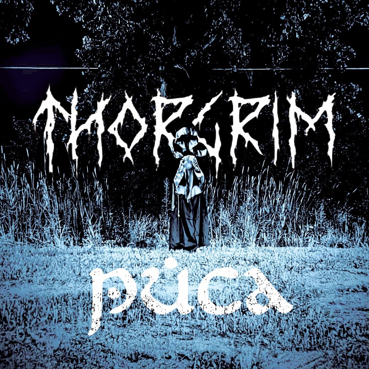 Puca
