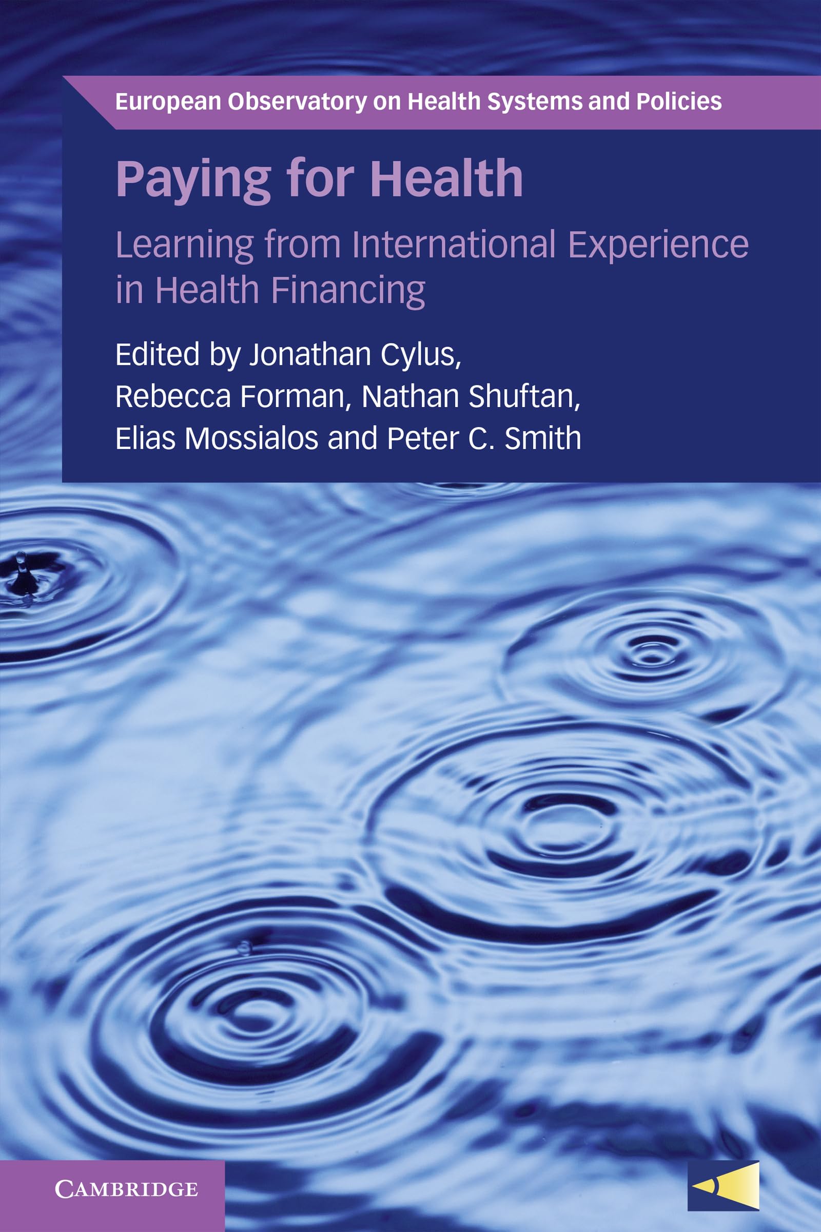 Paying for Health: Learning from International Experience in Health Financing (European Observatory on Health Systems and Policies)