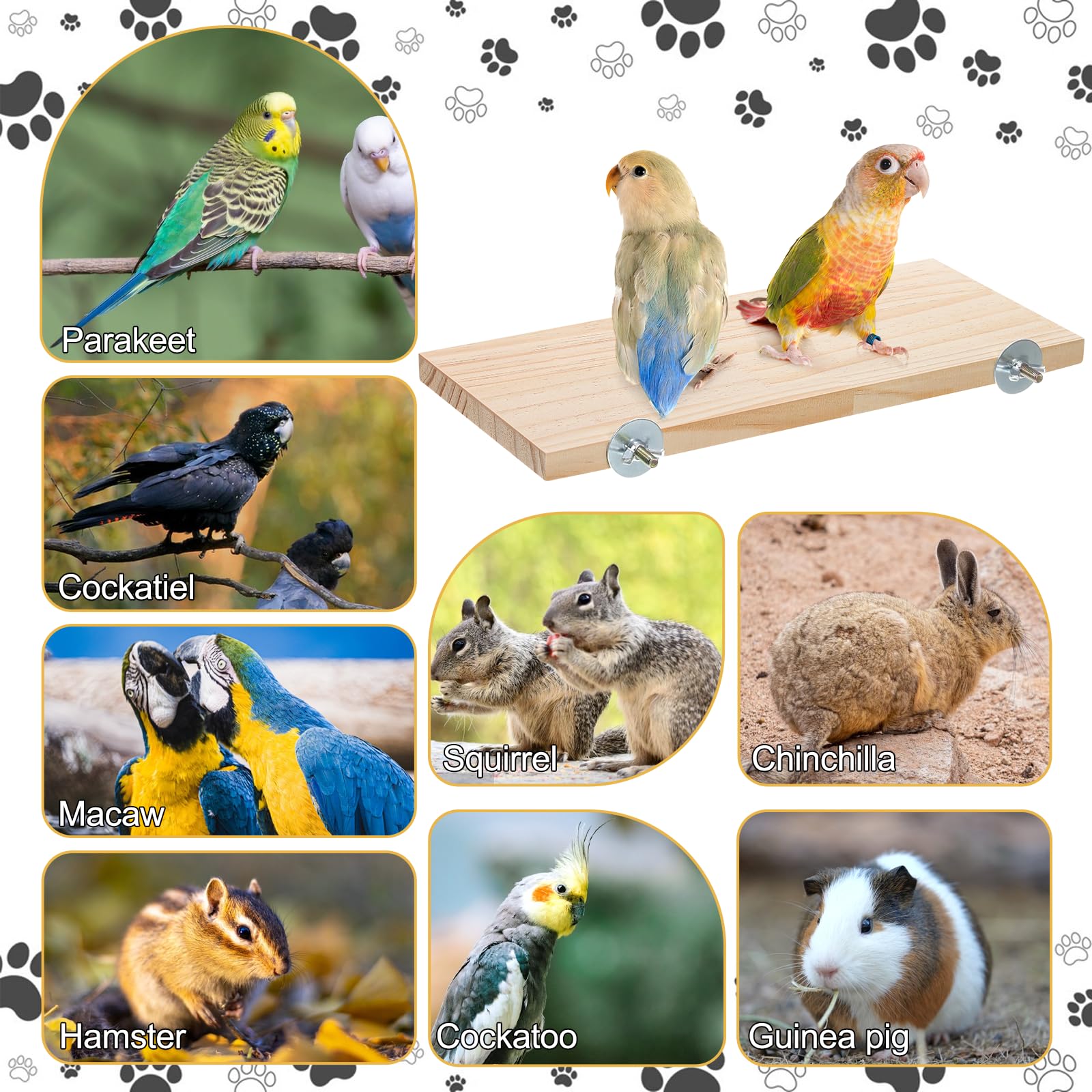 Lot de 6 supports rectangulaires en bois pour perchoir pour perroquet, perruche, calopsitte, hamster, chinchilla, gerbille