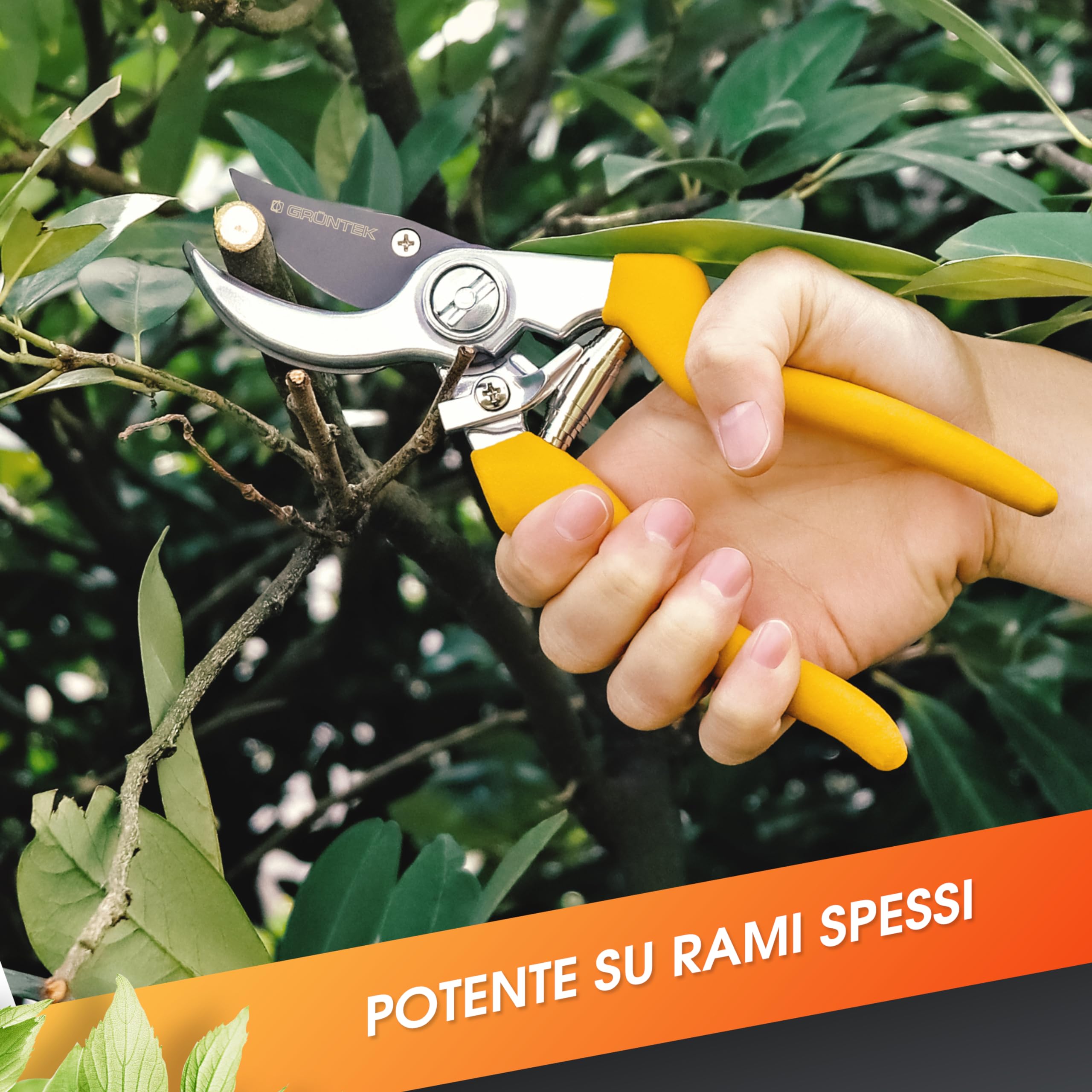 GRÜNTEK Forbici Cesoie da Potatura Giardino 21cm lama Giapponese