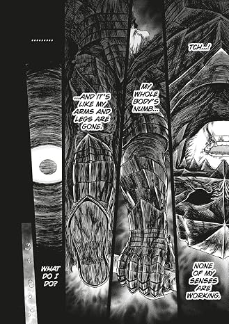 Berserk Deluxe Volume 13