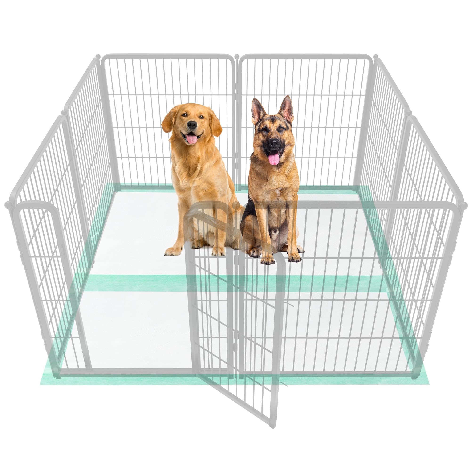 FXW XXL Puppy Pee Pads for Dogs 60x33 5 inch 20 Count 5 Layer Super Absorbent Leak Proof-Thickened