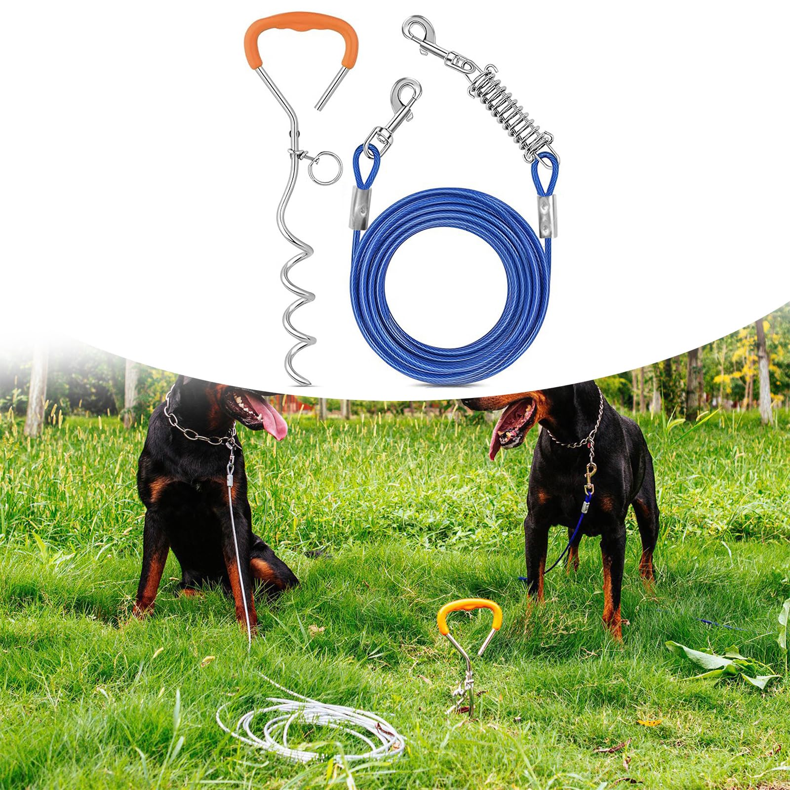 Correa para mascotas, cadena de perro, correas de control para perros medianos