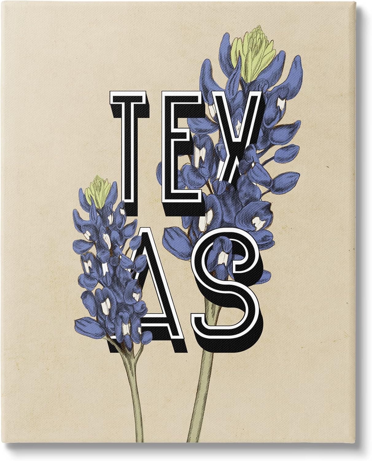 Stupell Industries Texas State Flower Bluebonnet Plant Sprigs Typography, Design by Daphne Polselli
