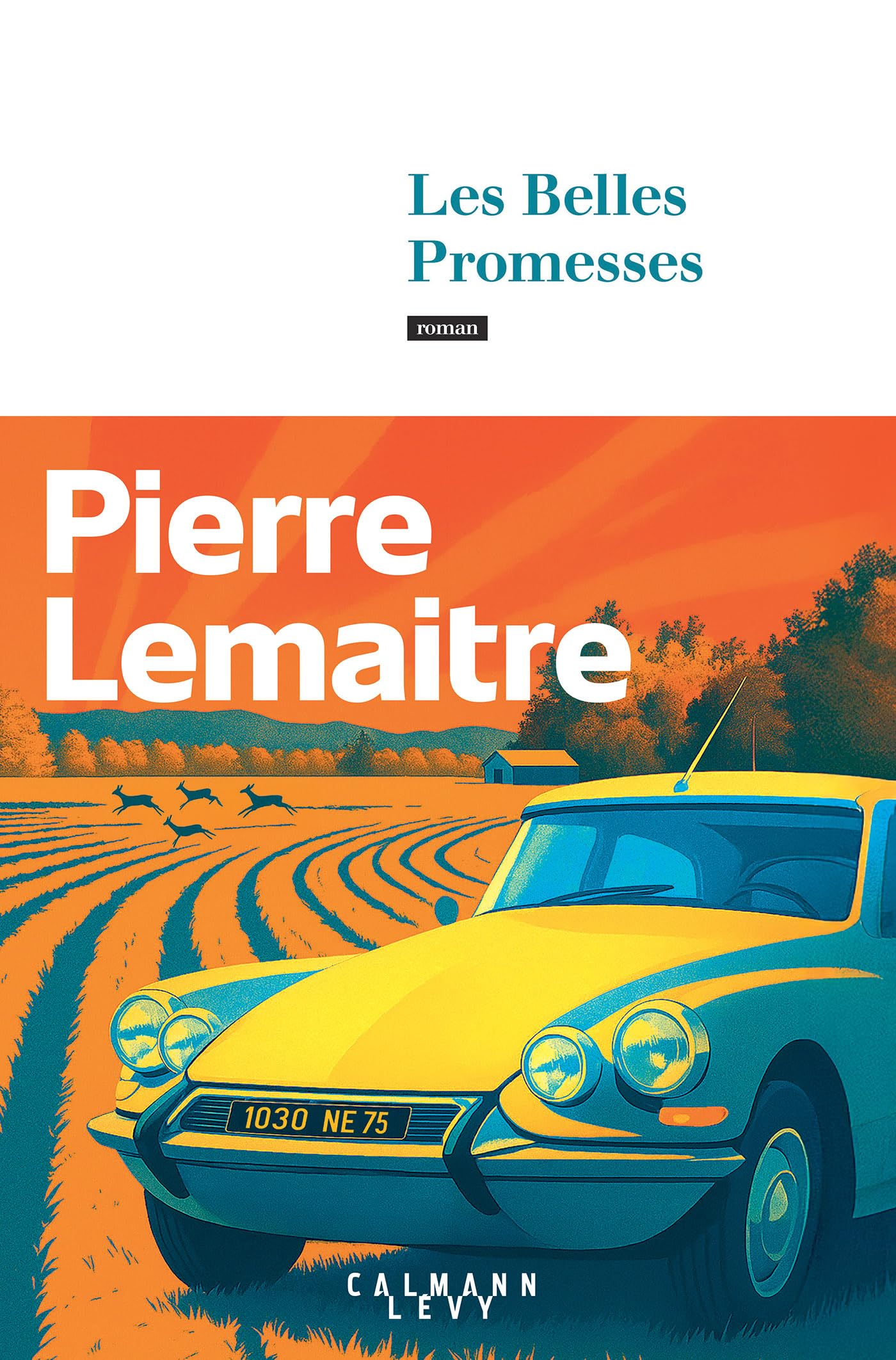 Les belles promesses: roman