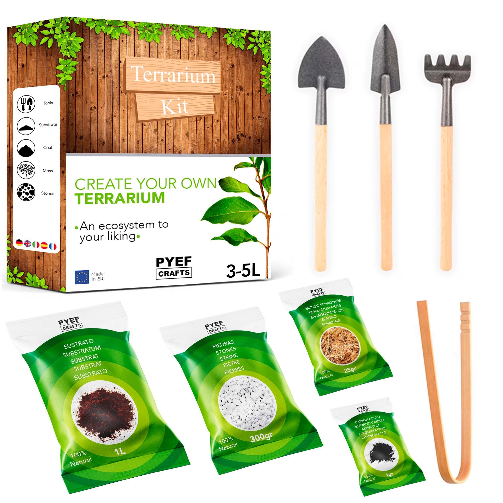 PYEF CRAFTS DIY Terrarium Kit for Plants, Starter Set for Garden in Bottle, Self‑Sustaining Ecosystem