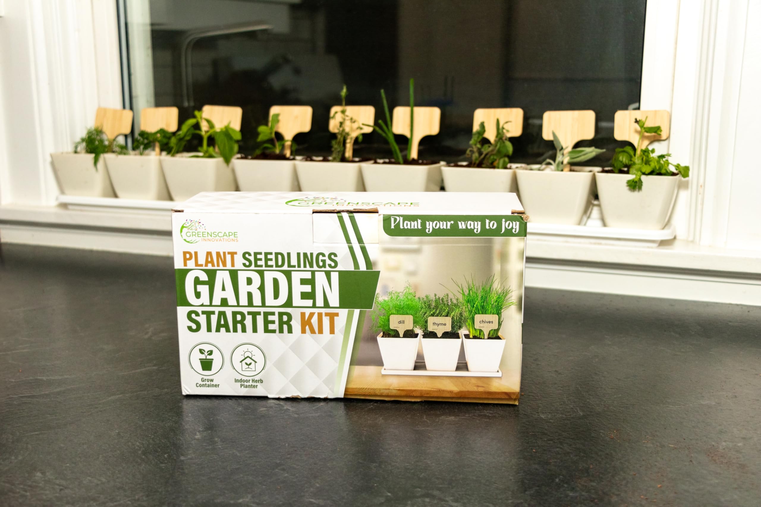 Indoor Herb Garden Kit with 9 Varieties - Seeds for Growing House