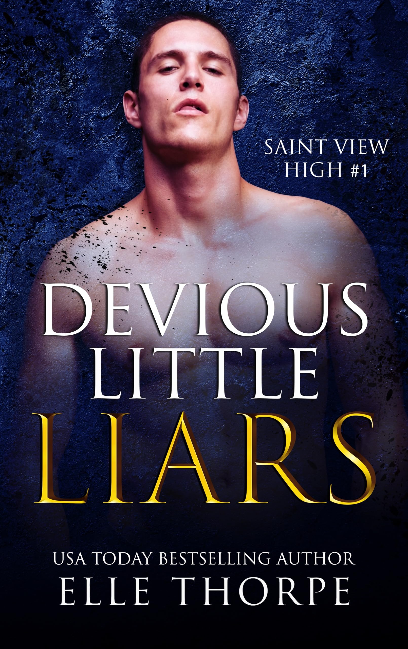 Devious Little Liars (Saint View High Book 1)