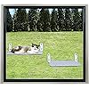 Product Photo 8
