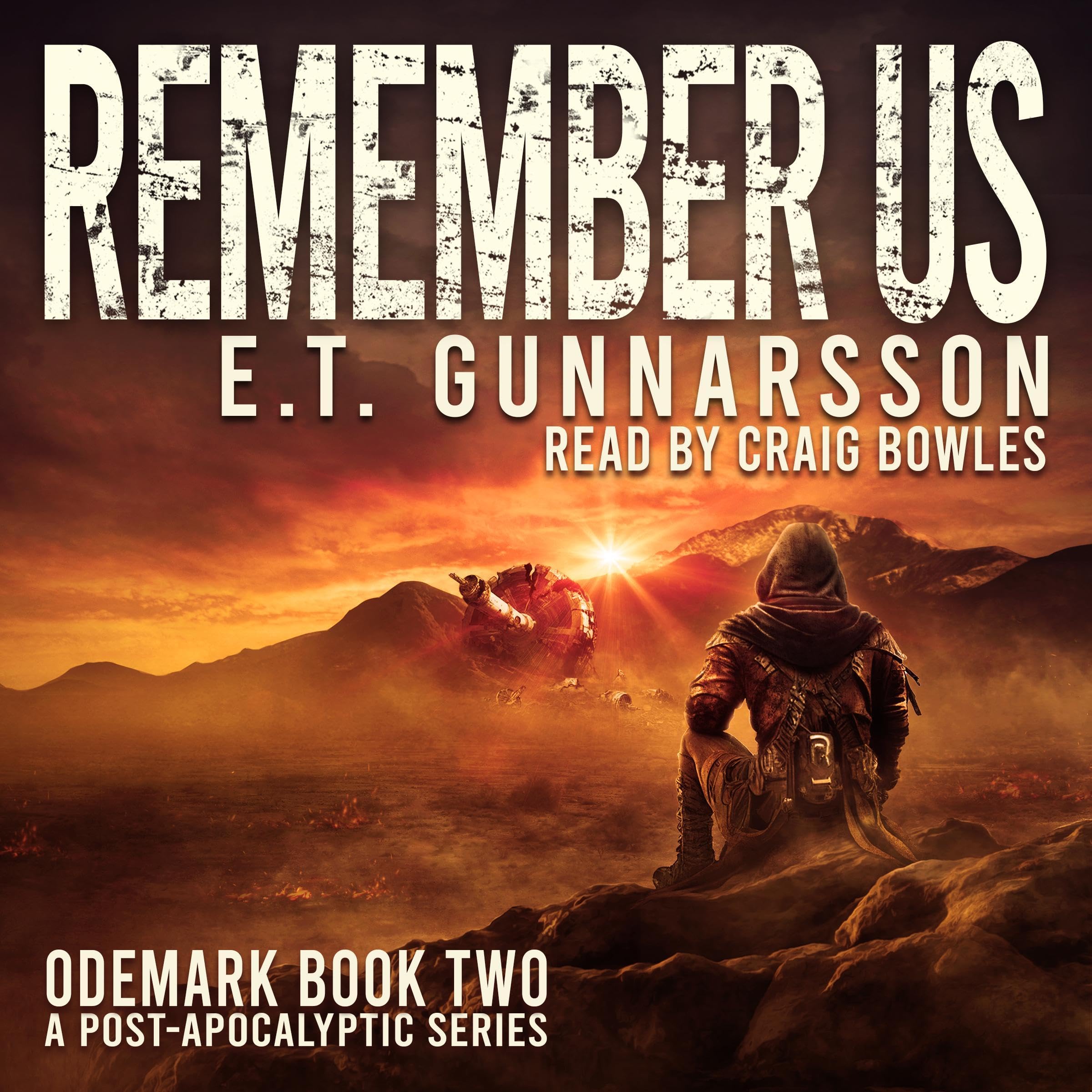 Cover art for Remember Us