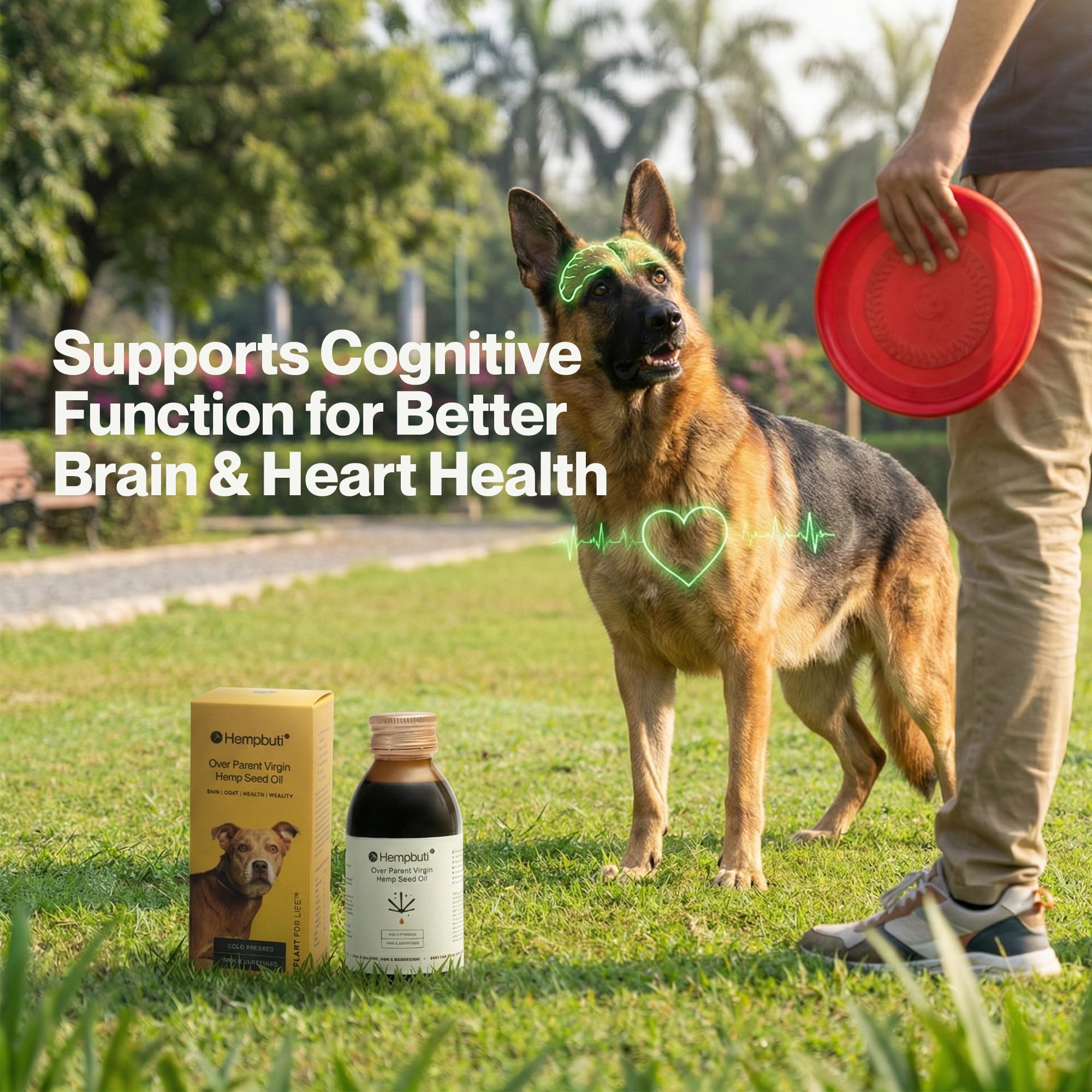Hempbuti Natural Hemp Seed Oil for Dogs & Cats 125 Ml | Pets Joints and Bone Support Stress Calming Massage Oil | Rich in Omega-3-6 Dog Supplement | Cold Pressed Hemp Oil for Dogs Pain Anxiety Relief 1