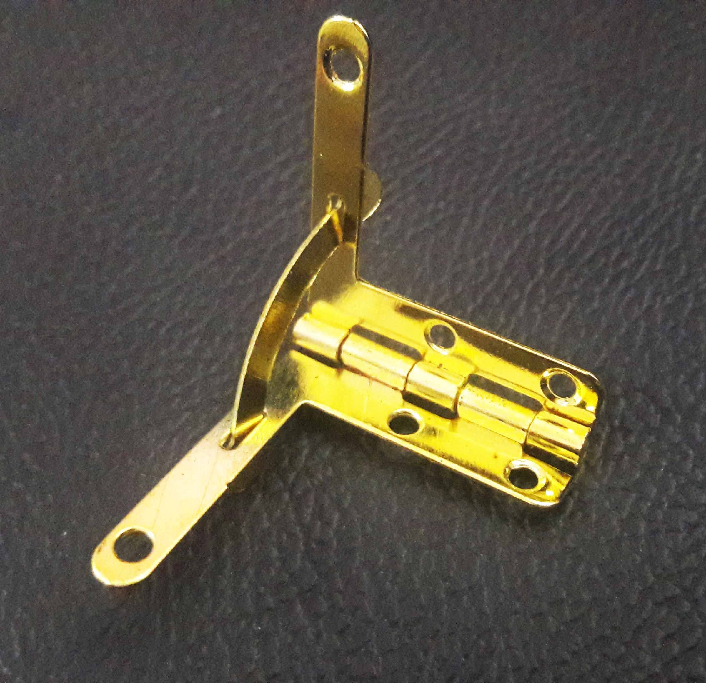 Tia Small Metal Hinge for Wooden Jewelry Box Gift Box Furniture Hardware,Cabinet Door,Small Box Hinge with Screws- (Golden Hinge-30mm-90Degree, 6Pcs)