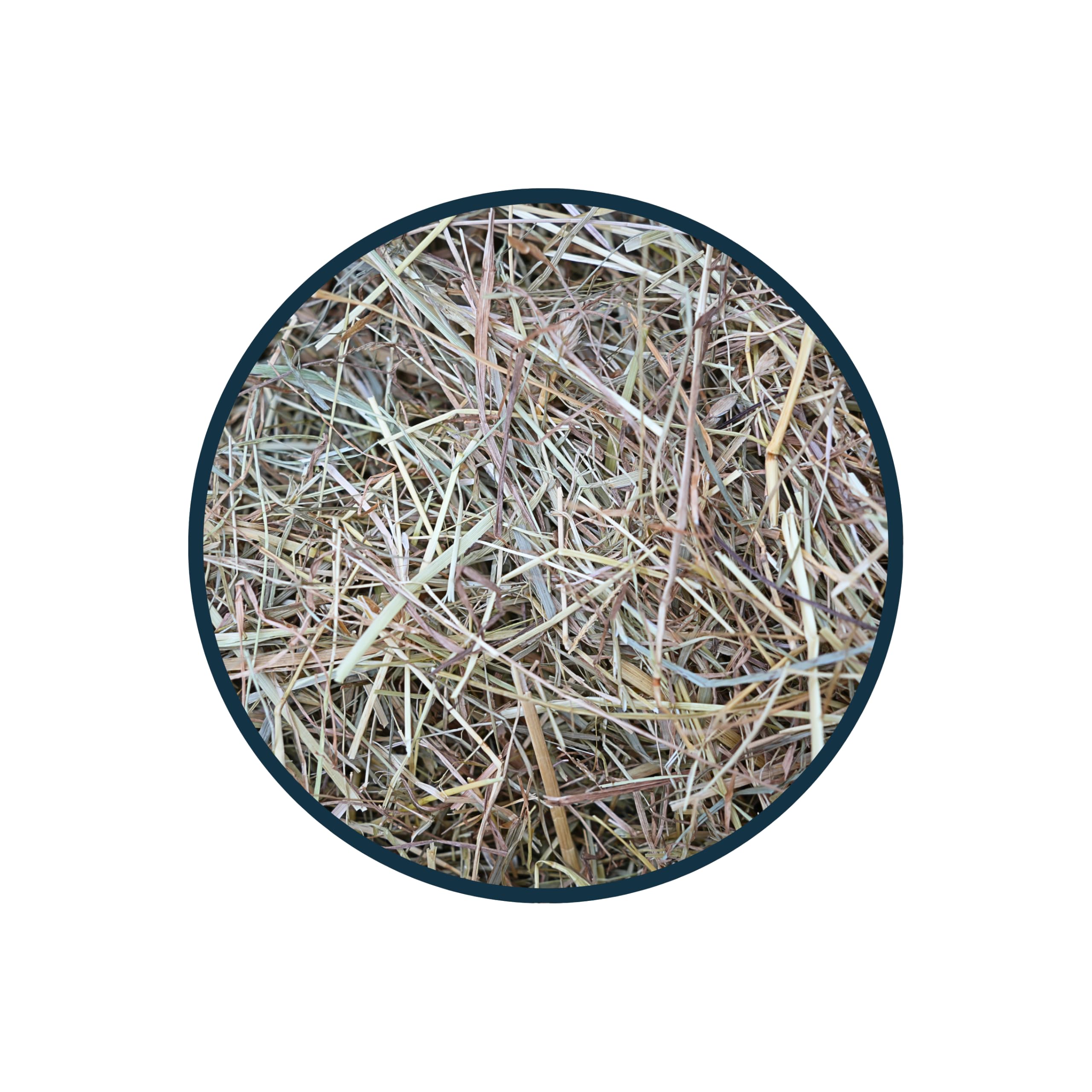 Anibest Fieno di prato naturale al 100% per conigli, criceti, cavie e altri roditori e piccoli animali, prodotto in Germania, 1 kg