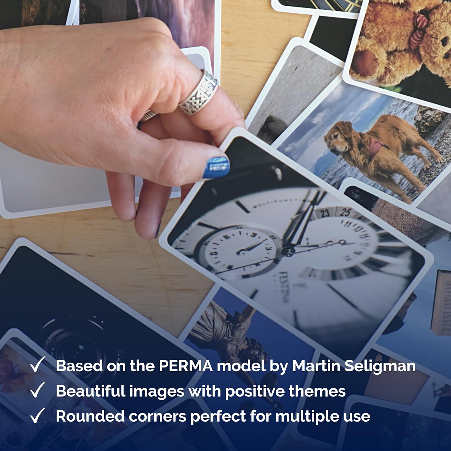 metaFox Picture Cards - Positive Psychology & Motivation Coaching