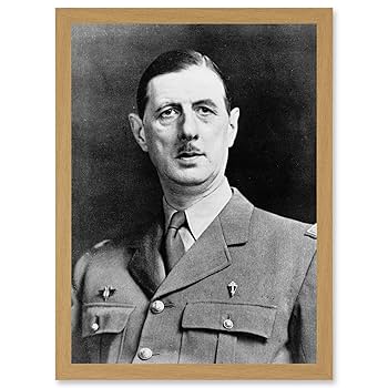 Amazon.co.jp: Artery8 大統領戦争将軍 シャルル・ド・ゴール