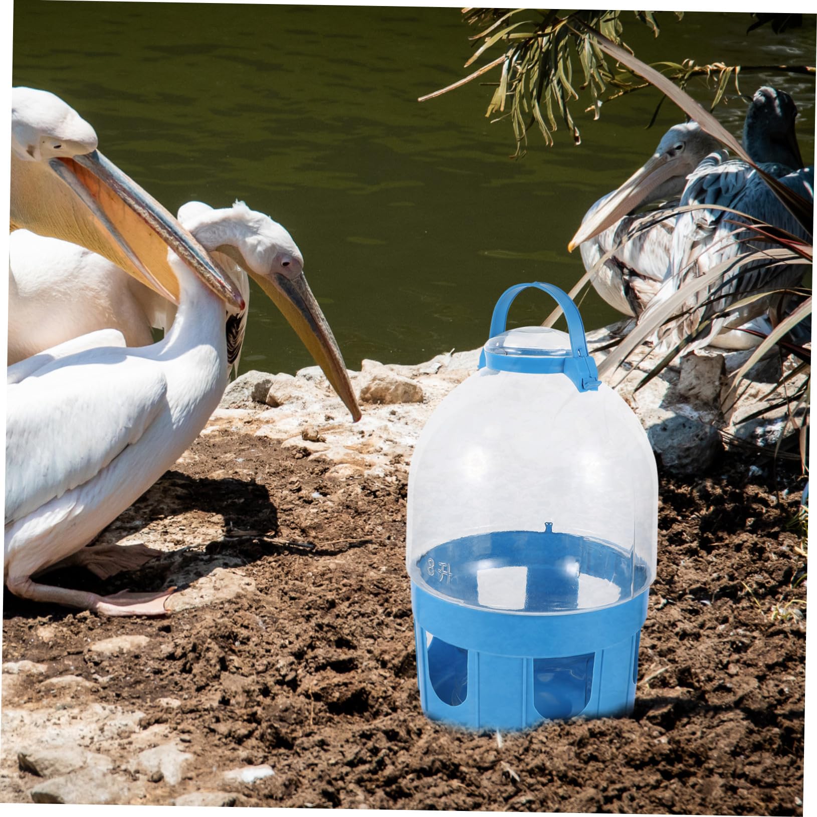 VILLCASE Robuster Taubenwasserspender aus PVC mit Großem Fassungsvermögen Blau Leicht zu Reinigen Wassertränke für Vögel im Haushalt