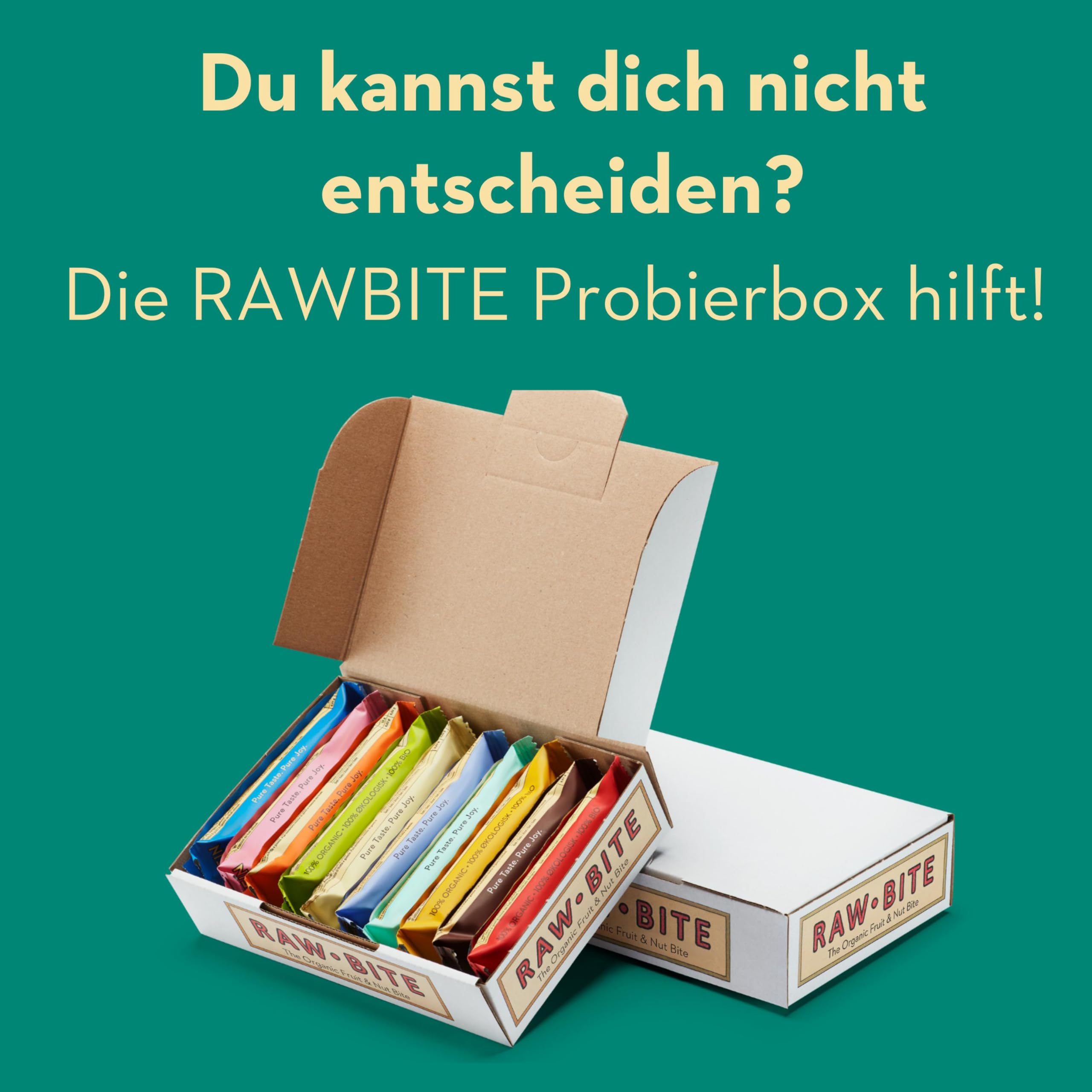 RAWBITE PROTEIN Riegel mit 22g Eiweiß I 12 Bio Proteinriegel in der Box I Reisprotein, Datteln, Erdnüsse, Salz & Karamelaroma I Vegan, glutenfrei, laktosefrei I enthält von Natur aus Zucker I 12 x 45g