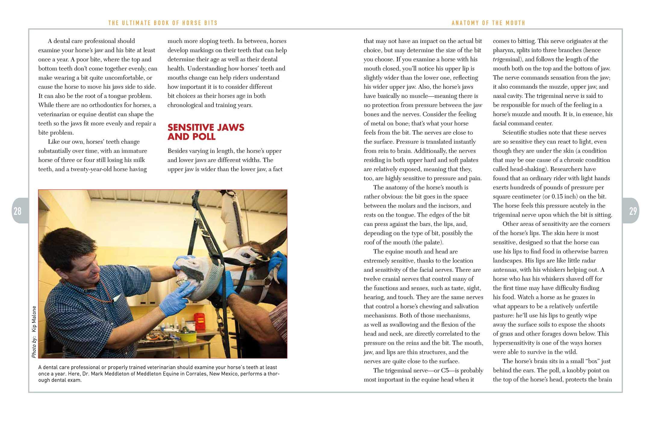 The Ultimate Book of Horse Bits: What They Are, What They Do, and How They Work (2nd Edition)