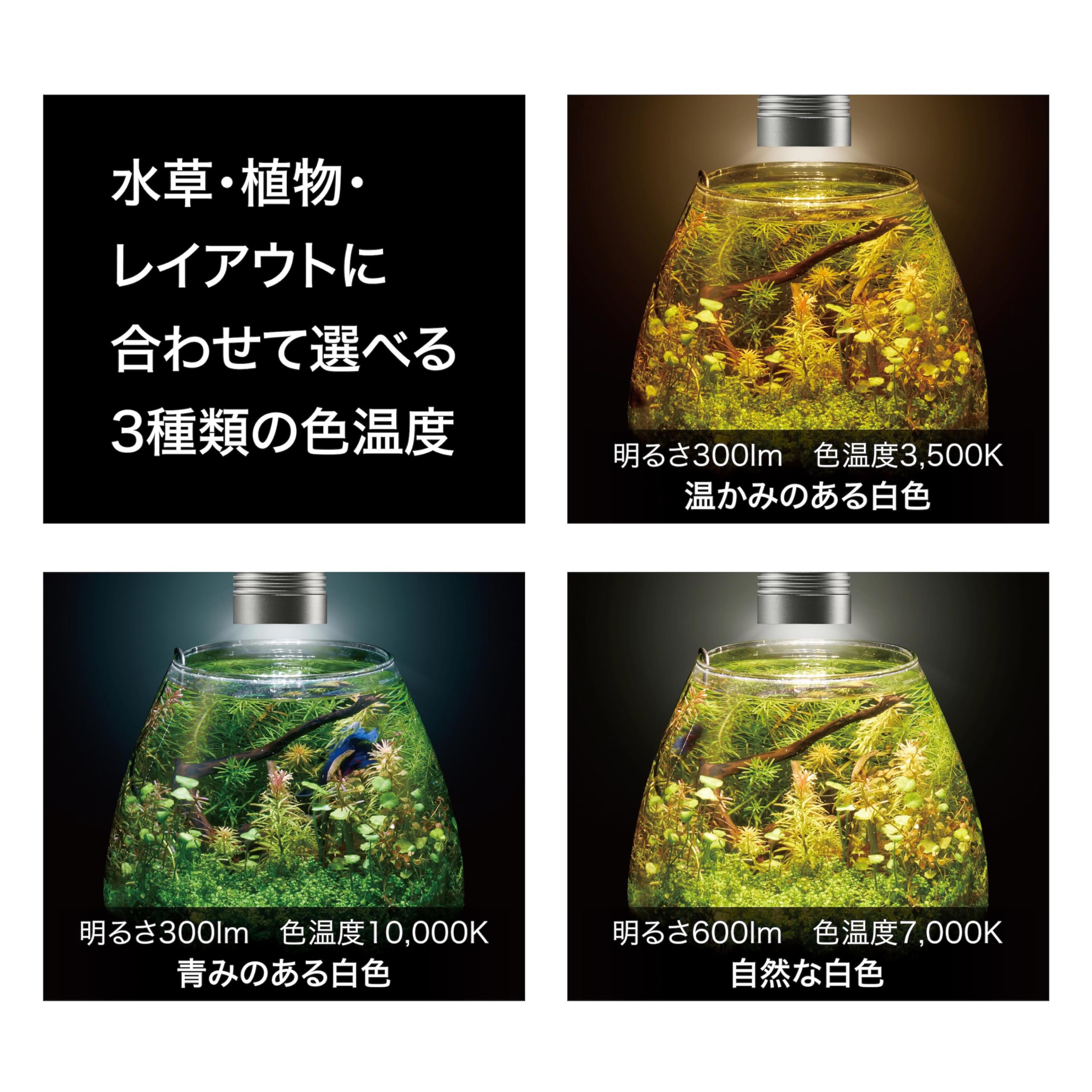 Amazon | ジェックス クリアLED リーフグロー EX-N USB電源 3種類の色