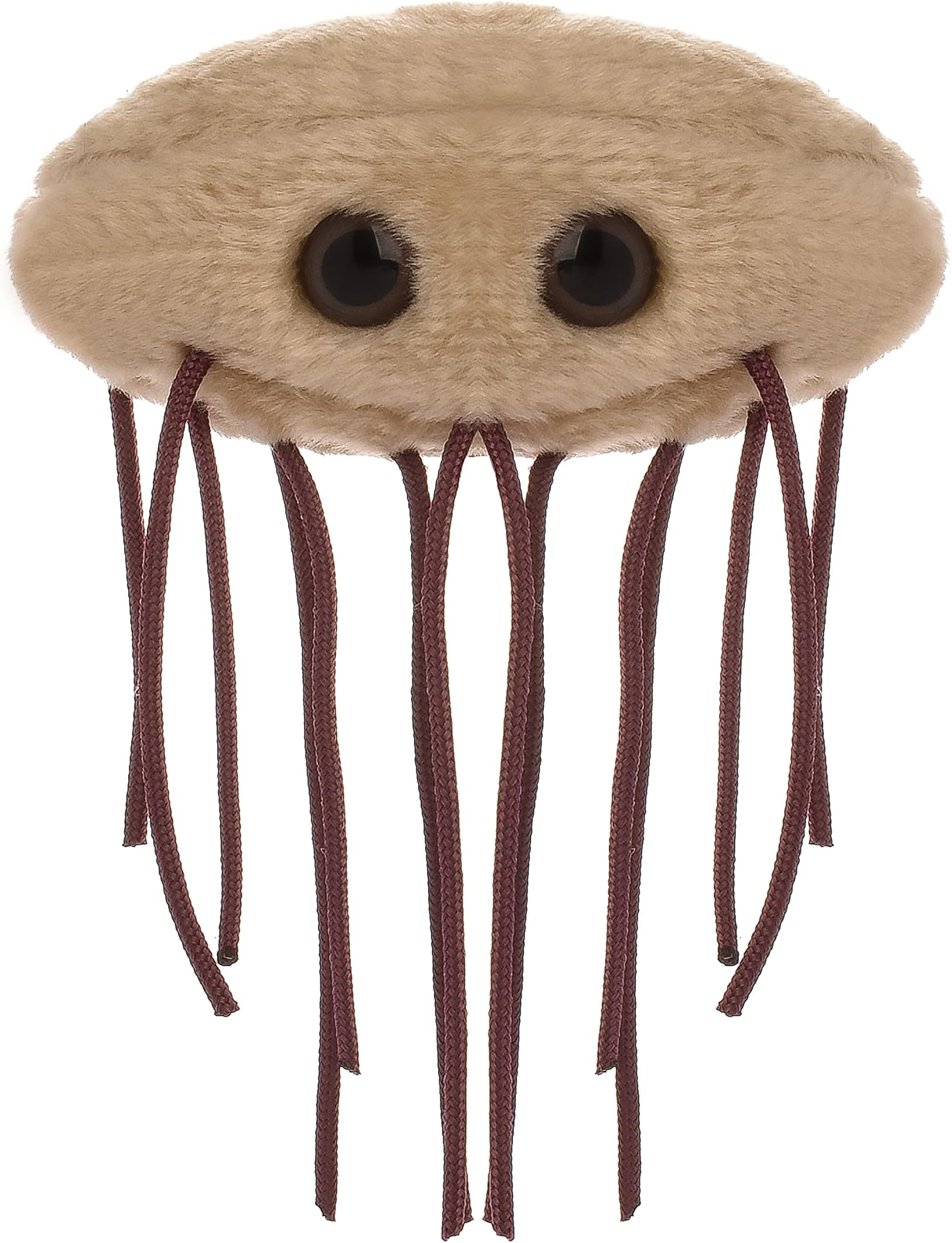 GIANTmicrobes E. Coli Plush, Microbiology Gifts, Gastroenterologist Gift, Gastroenterology Gifts, Gut Microbiome, Medical Laboratory Scientists, Petri Dish, Cooking Gift