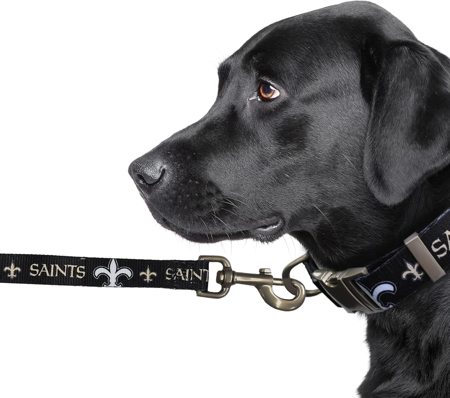 Littlearth NFL Unisex NFL Premium Pet Leash