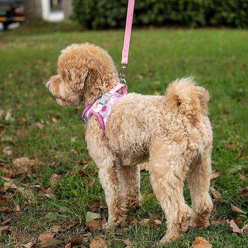 Miniatura 6 de Juego de arnés y correa para cachorro, arnés de chaleco para perro con malla transpirable, rayas reflectantes, arnés ligero para mascotas para