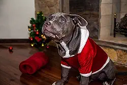 Roupa de Natal para Cachorro com capuz Vermelha - Tam. P