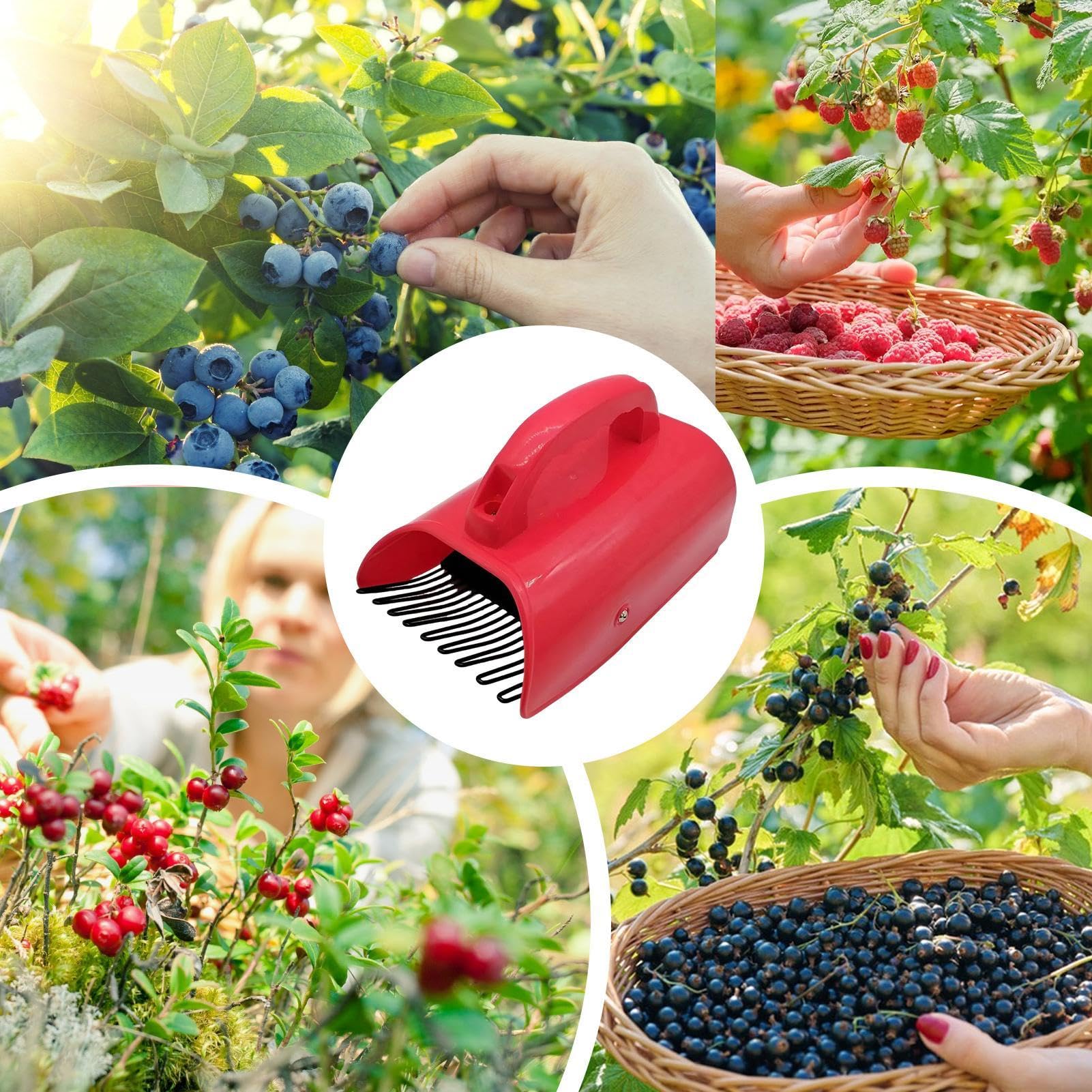 Amazon.co.jp: ベリーコレクションツール - ブルーベリー収穫、丈夫な