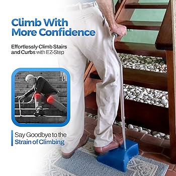 Amazon.com: EZ-Step Stair Climbing Assist Cane – Stair Lift