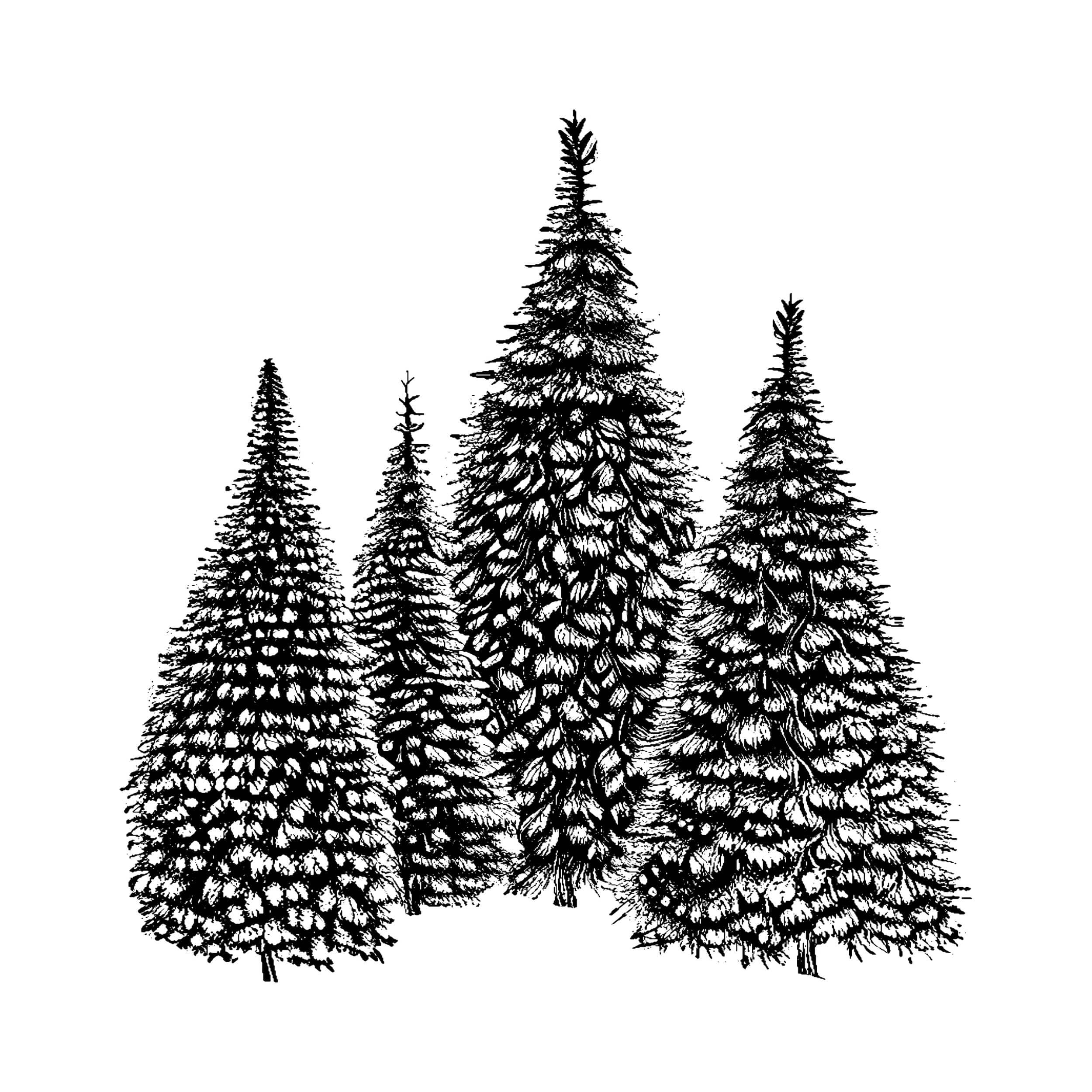 NEWSTAMPS Kiefernzapfen Stempel - Holzstempel Für Weihnachtskarten & Bastelprojekte