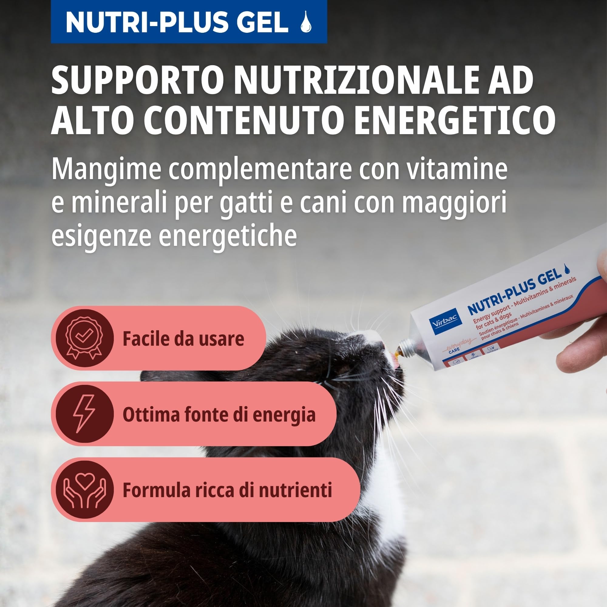 Virbac Nutri-Plus Gel | Confezione da 4 | 4 x 120 g | Alimento complementare dietetico per cani e gatti | Concentrato di energia