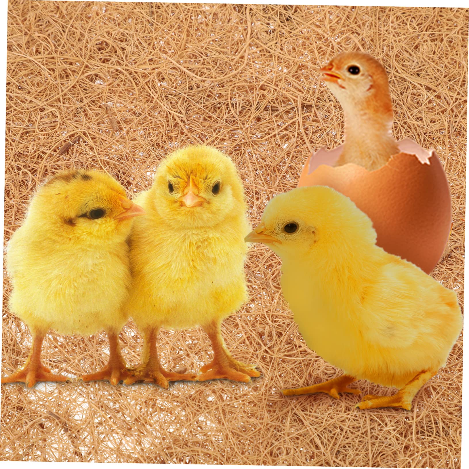 minkissy 18 tapetes de reptiles útiles para huevos de mascotas, almohadilla de cría de huevos, terrarios, almohadillas de cría multiusos, alfombrilla de pollo natural, contenedor de terrario,