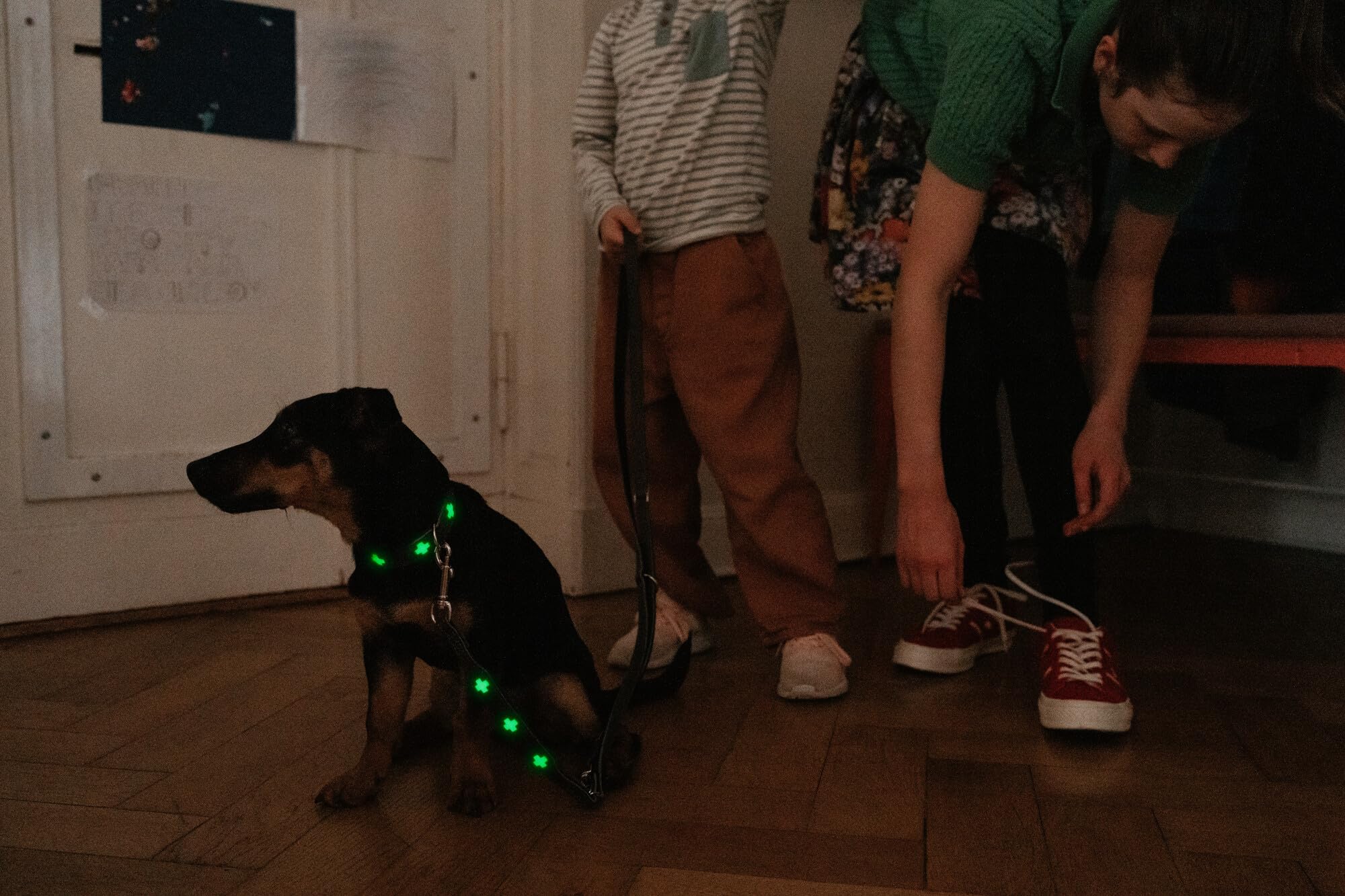 HUNTER Hundehalsband Swiss Glow aus weichem Rindsleder, Fluoreszierende Kreuze leuchten im Dunkeln, handgenäht, Made in Germany, Farbe: steingrau, Größe: 42