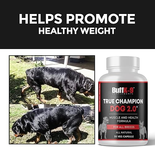 Miniatura 7 de True Champion Dog 20 Suplemento de músculo y salud para perros desarrollado por veterinarios y nutricionistas seguro y 100 natural para cachorros y