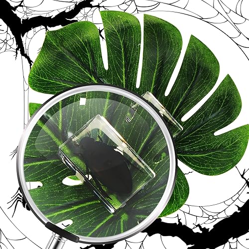 Vista 17 de 12 piezas de insectos en resina colección de insectos de resina de arácnidos, pisapapapeles de diferentes insectos para niños, juguete educativo