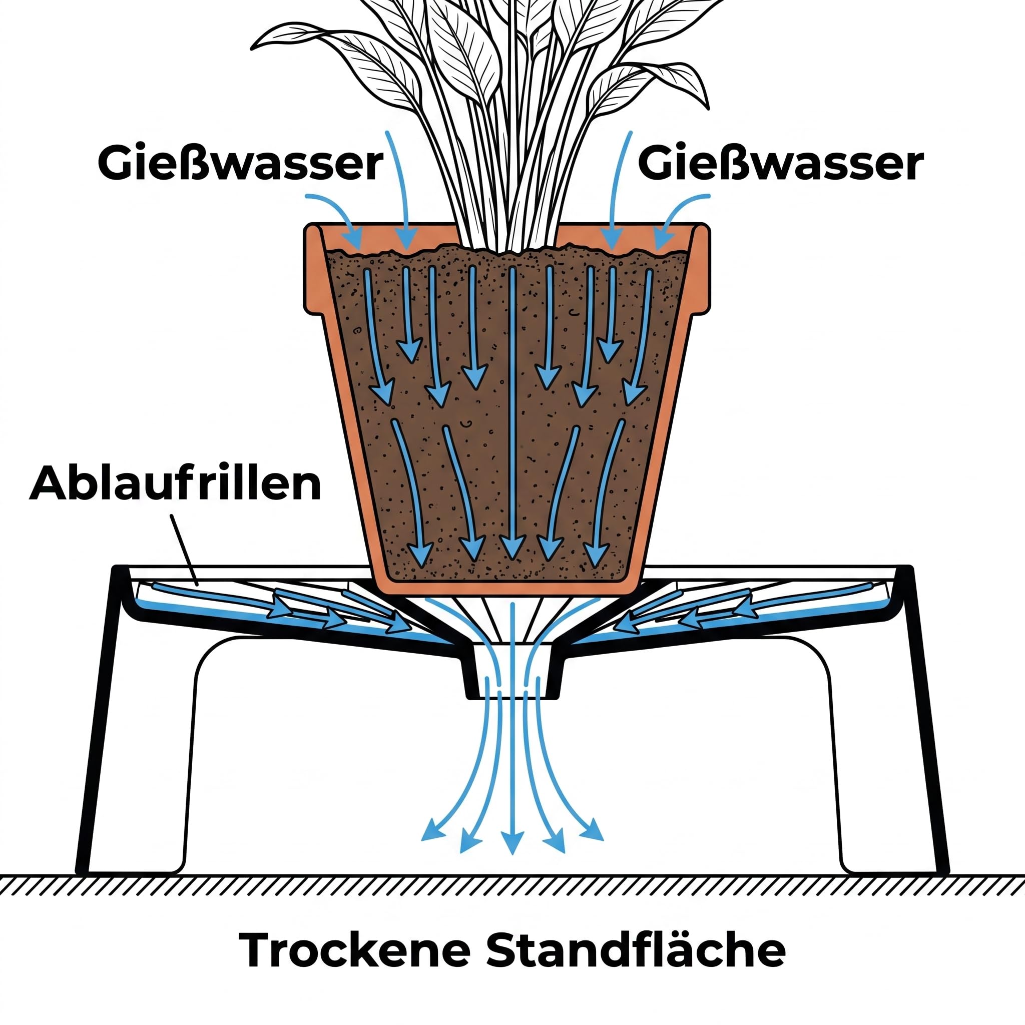 Drain Tray 3er Set – Blumentopf Untersetzer 24x24 cm – Drainage Untersetzer für Growzelt & Zimmerpflanzen – erhöhte Füße, EC/pH Drain Messung – PETG, Made in Germany