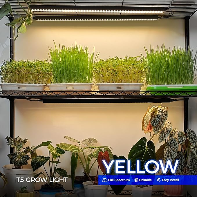 Barrina Barrina T5 Grow Lights for Indoor Plants, 2FT 40W (4 X 10W) Magnetic Installation, Full Spectrum Grow Light Strip with Individual Switch, Grow Lamp with Black Cover, Plug and Play, Yellow, 4 Packs photo 3