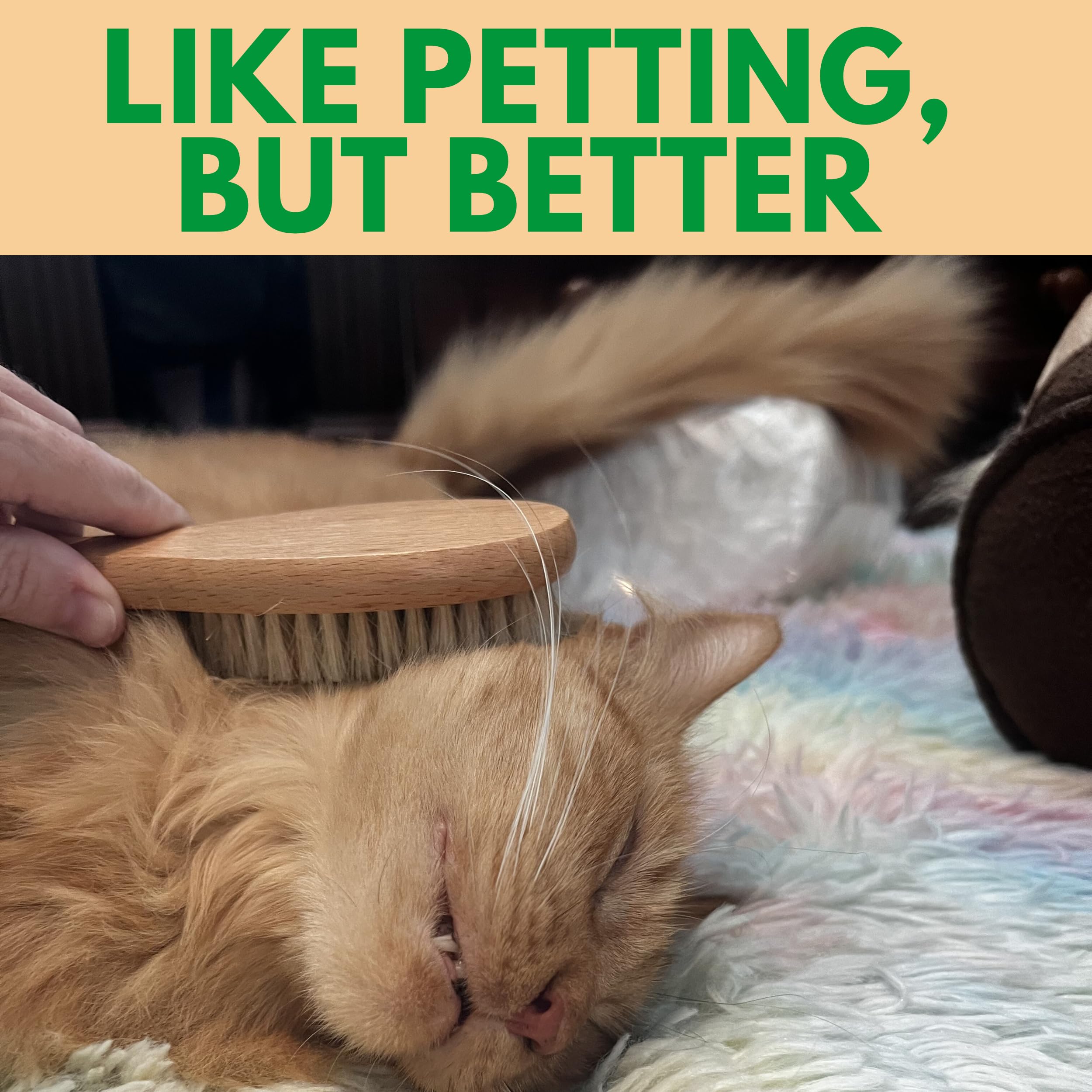 GranNaturals Cepillo suave de cerdas de jabalí para gatos para interiores, exteriores, gatos de pelo corto, gatitos, perros pequeños, conejos, mascotas peludas, aseo suave en pelaje y cola sensibles