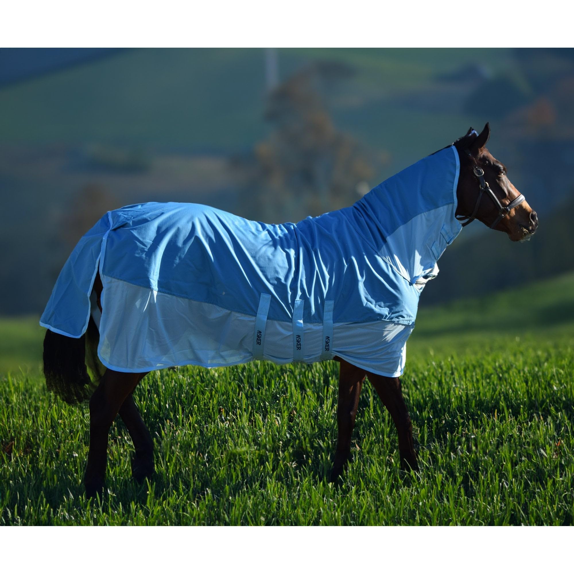 Asker Rain Waterproof Fly Combo Rug - Teal 6ft0