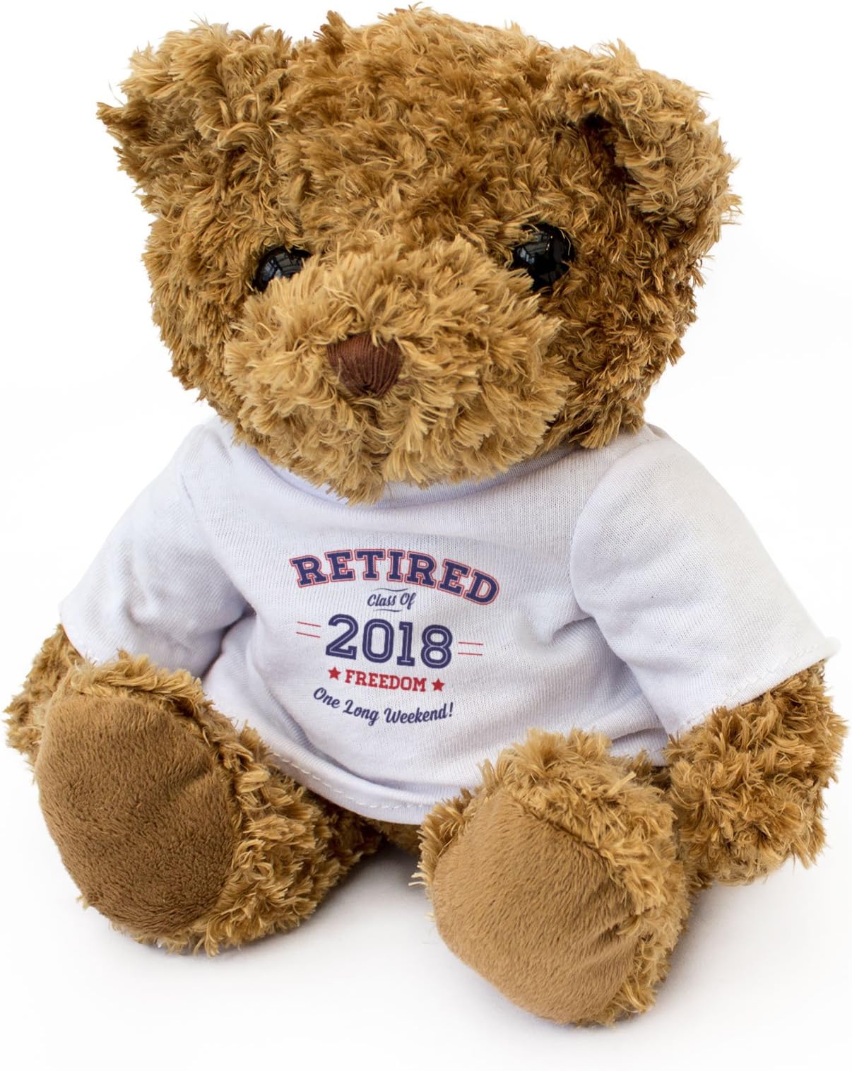 NEW - RETIRED 2018 - Cute Soft Cuddly Teddy Bear - Retirement Gift Present