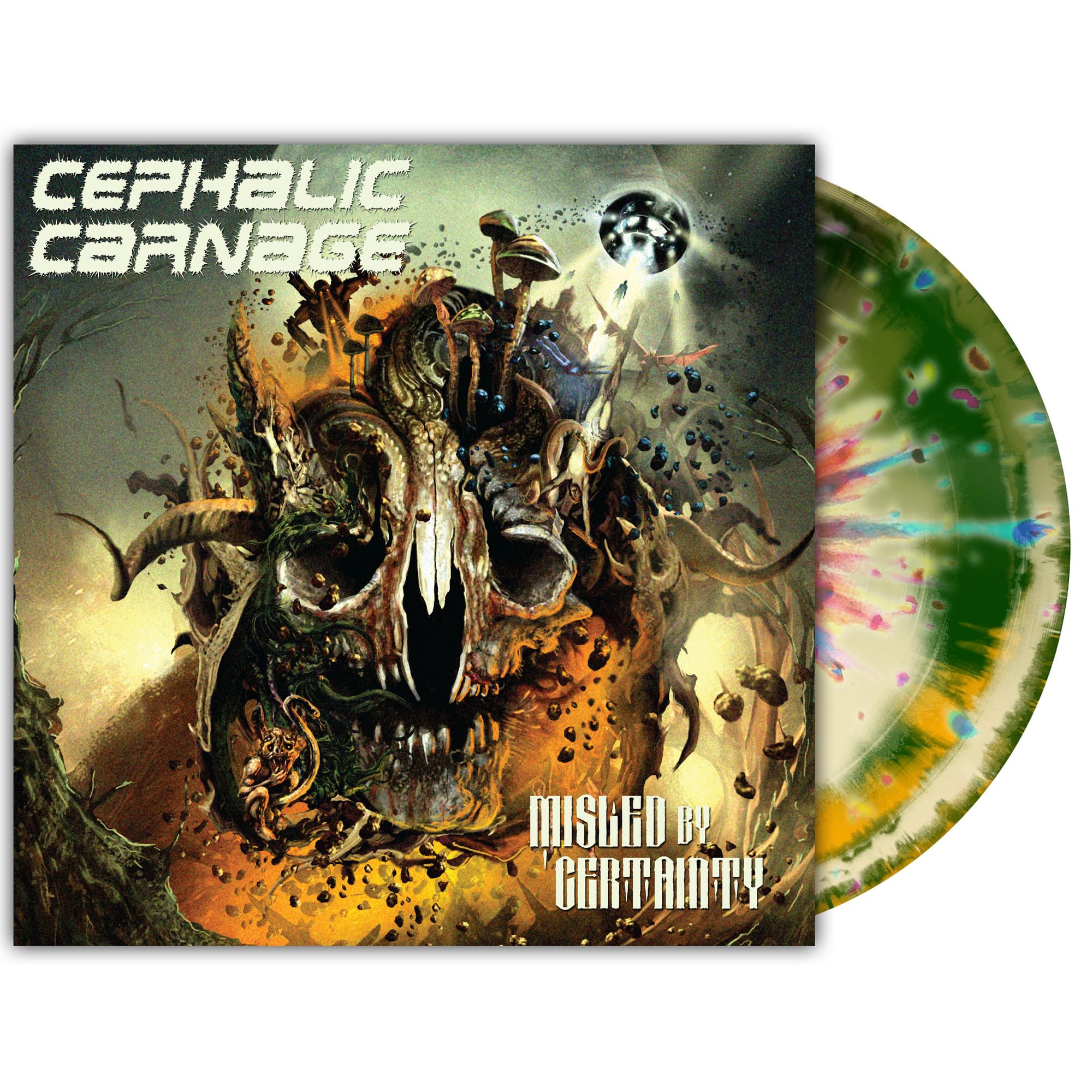 Misled By Certainty [VINYL]