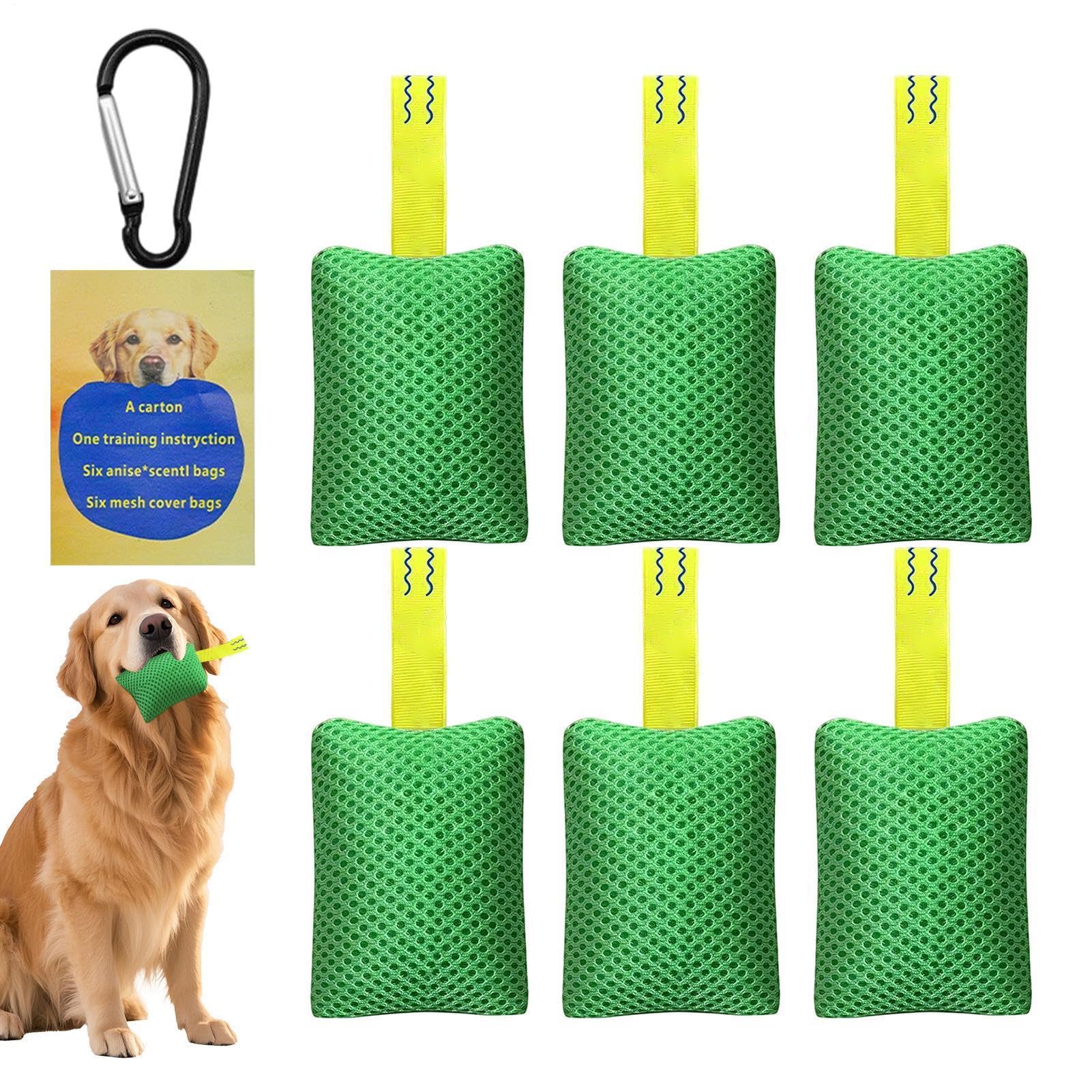 Entraînement des odeurs pour chiens à la maison : kit interactif de cour et jardin
