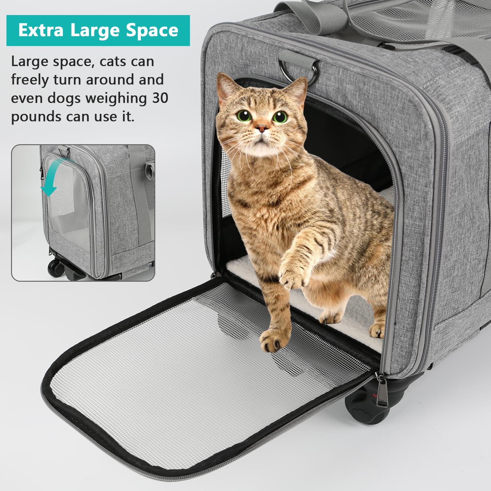GDWD Transporttas met wielen voor katten en honden, draagtas met telescopisch handvat en afneembare wielen, opvouwbare huisdierendrager transportbox met trolley voor kleine, middelgrote honden en GDWD Transporttas met wielen voor katten en honden, draagtas met telescopisch handvat en afneembare wielen, opvouwbare huisdierendrager transportbox met trolley voor kleine, middelgrote honden en