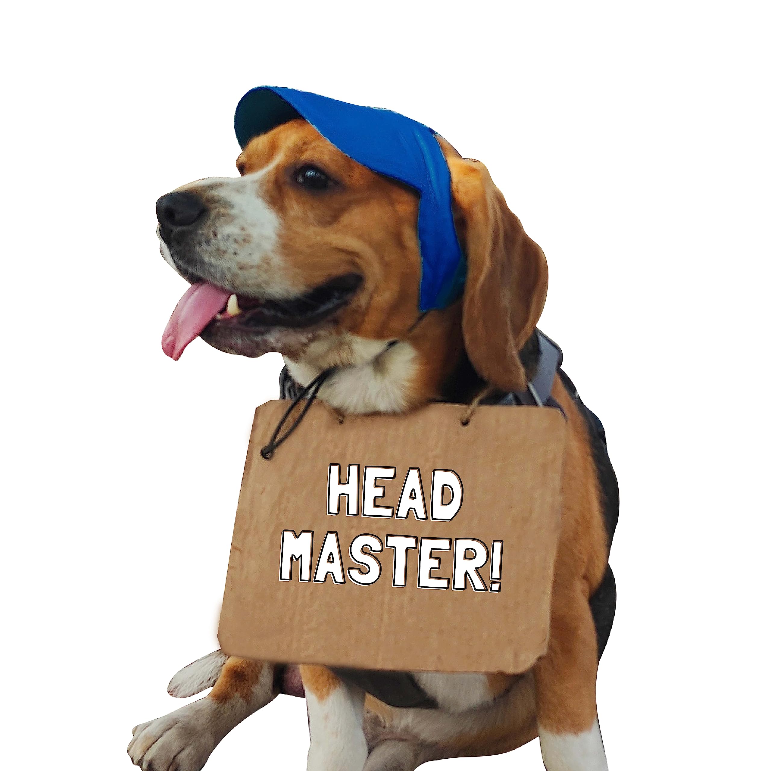 See full amazon price history chart for Baseball Cap with Neck Strap for Dogs by Go Bandanas (M, Blue) Baseball Cap with Neck Strap for Dogs by Go Bandanas (M, Blue) (B0C42RCFLG) Amazon Price History, Amazon Price Tracker