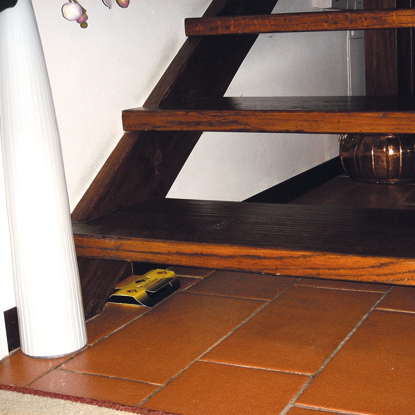 Trappola a Colla per Topi, Blatte, Ragni e Insetti Striscianti – Adesivo Potente, Pronta all’Uso, Non Tossica, Efficace per Casa, Garage e Cantina Sandokan