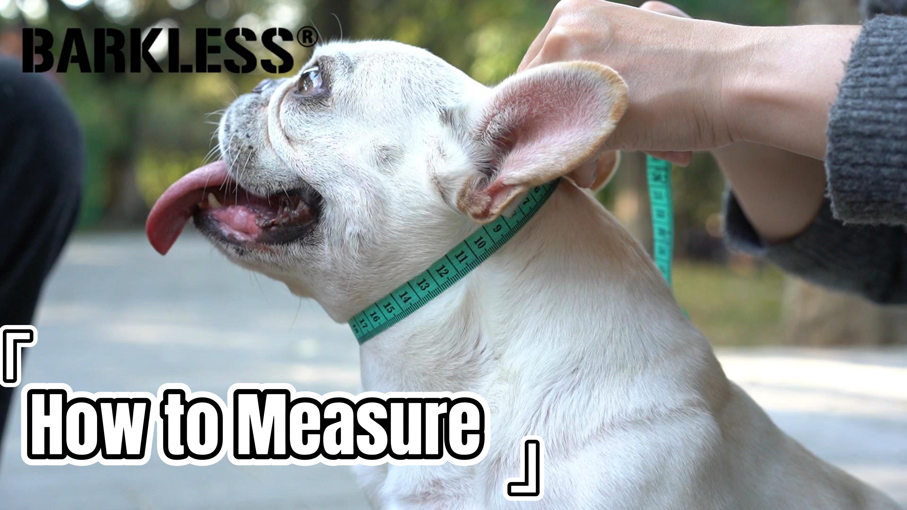 frenchbulldogぺージ Short Snout Dog Muzzle, Breathable Mesh Flat Faced Muzzle
