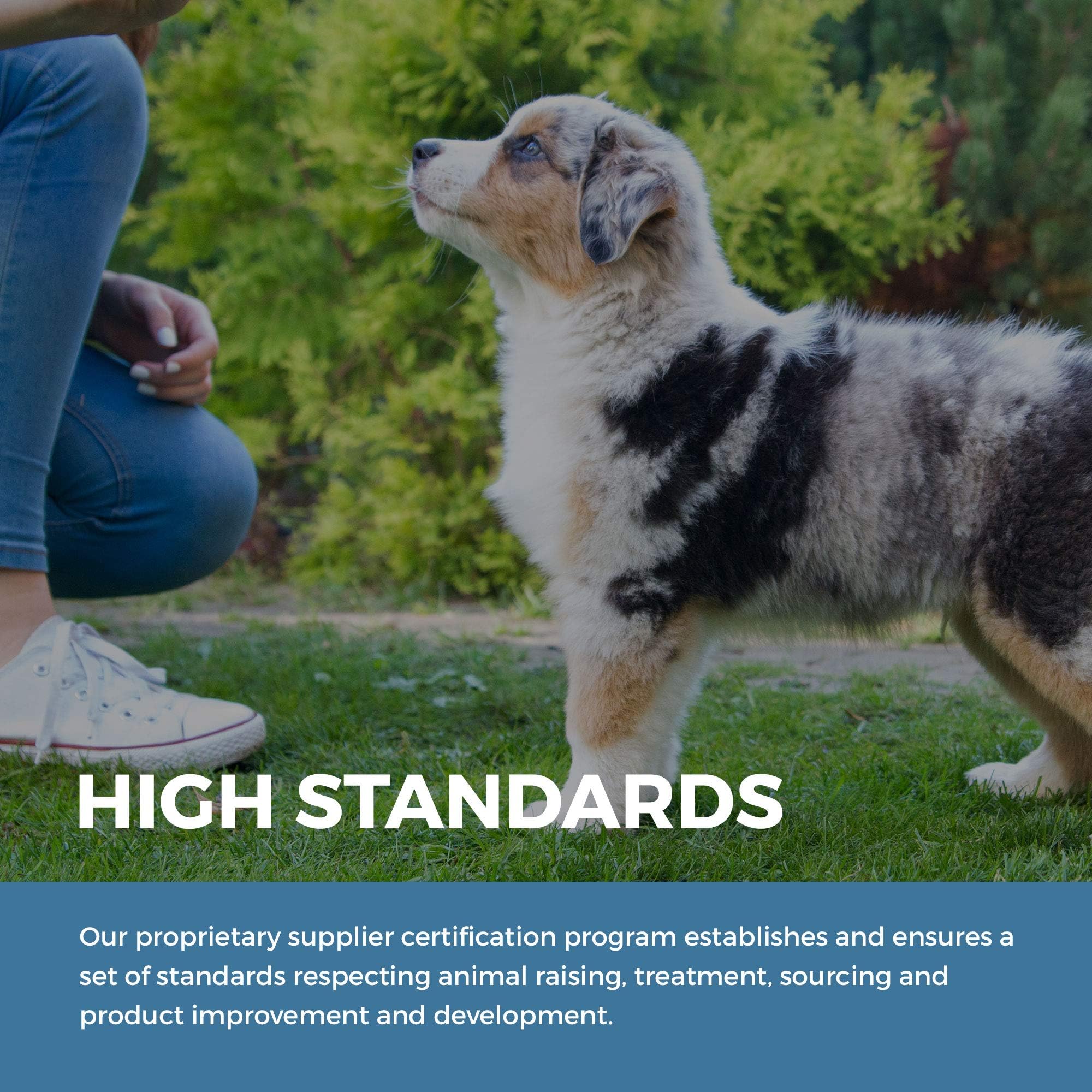 open range pet treats