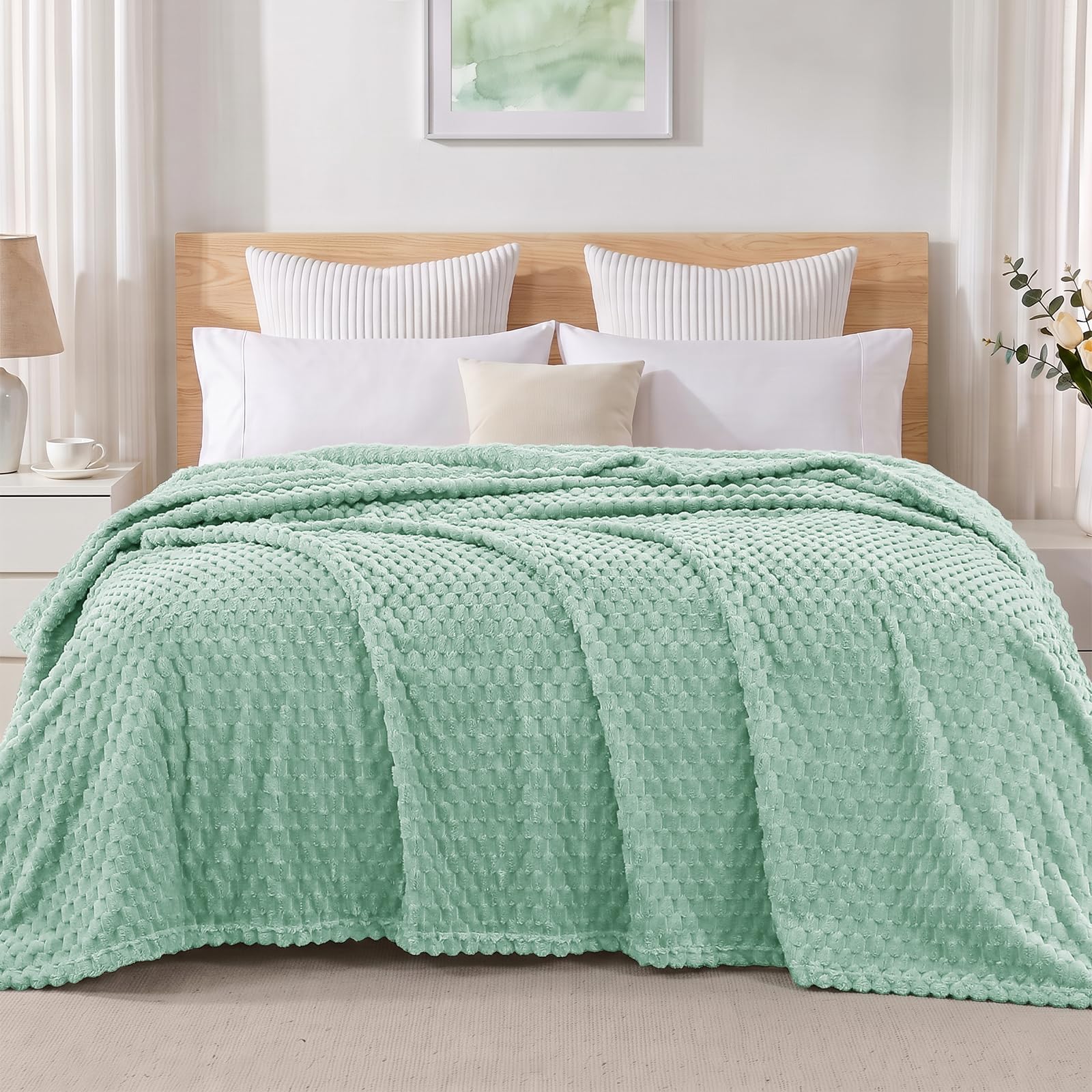 Exclusivo Mezcla 3D Fleece Queen Size Blanket for Bed, Sage Green