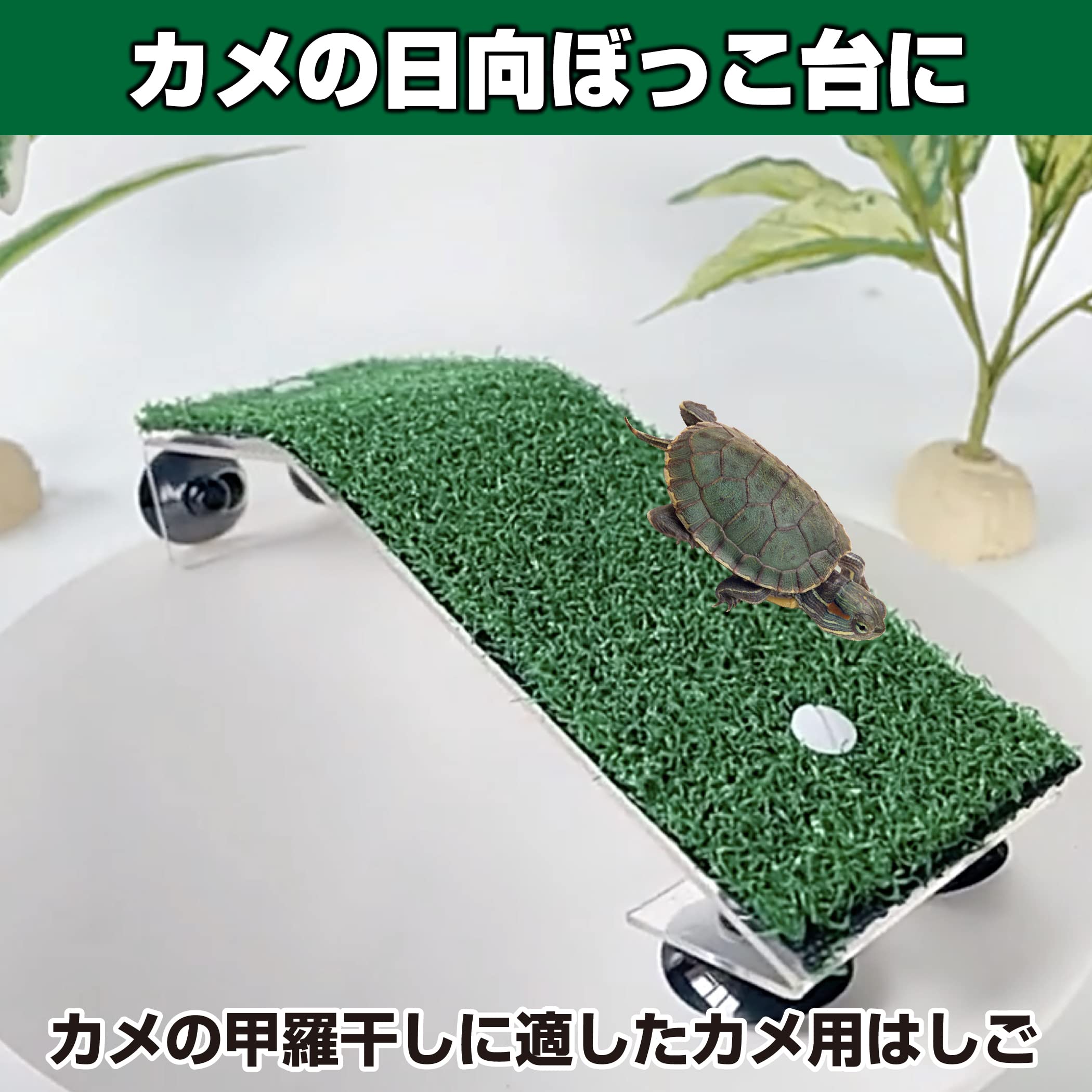亀の甲羅風骨製装飾品セット すっぽんの甲羅 楽天市場】亀 カメ 甲羅 真鍮 鈴 音が鳴る ご長寿 縁起物